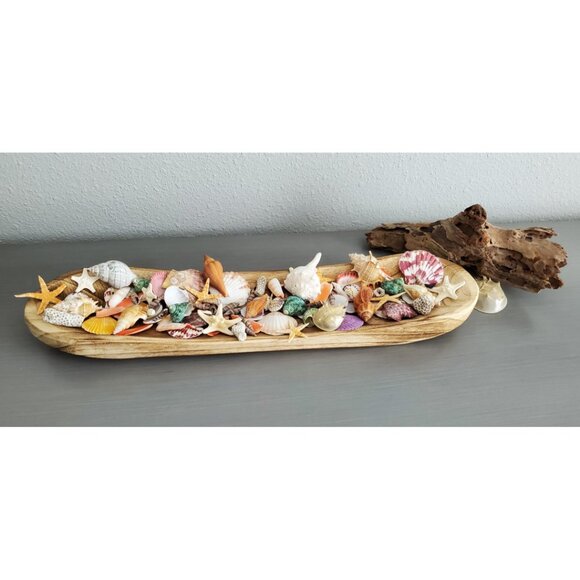 New Sea Shells Mixed Beach Seashells & Starfish for DIY Crafts, Party Decor - Picture 11 of 13